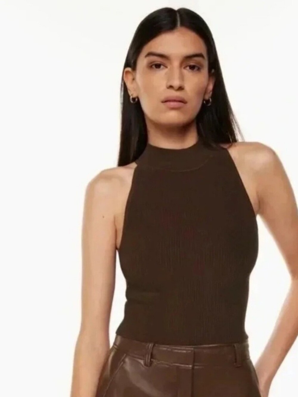 Babaton Aritzia Brown Sculpt Knit Cropped Halter Top